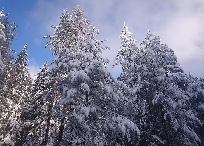 Stockers امهاوسن