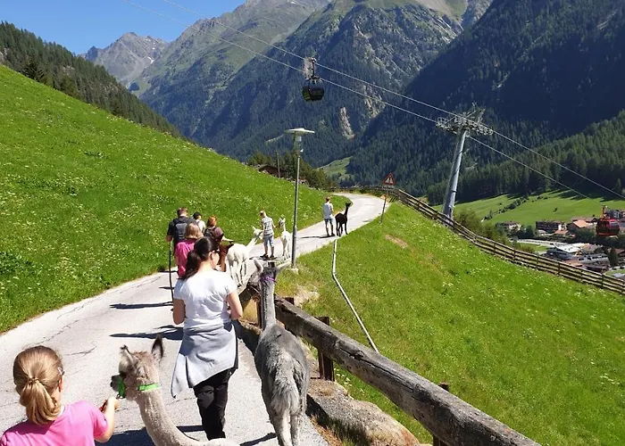 Stockers امهاوسن